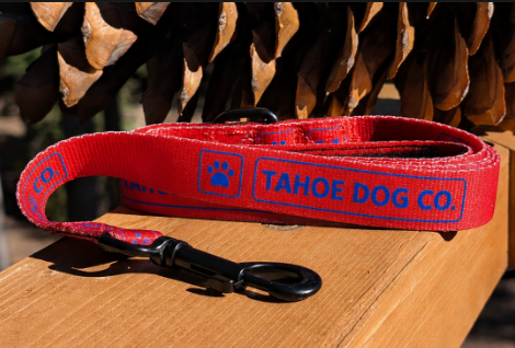Everyday Walk Set – Dog Collar & Leash Bundle (Red)