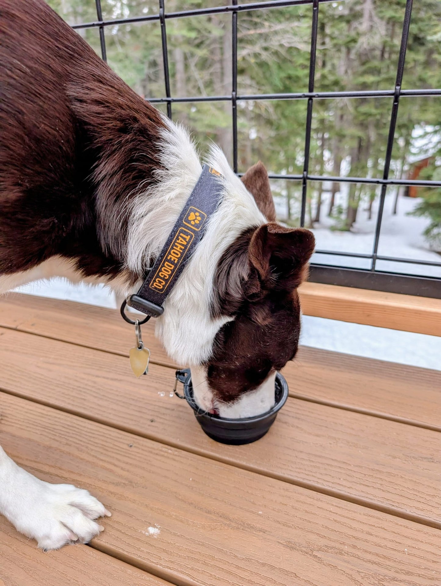 Collapsible water bowl with Tahoe Dog Co. logo