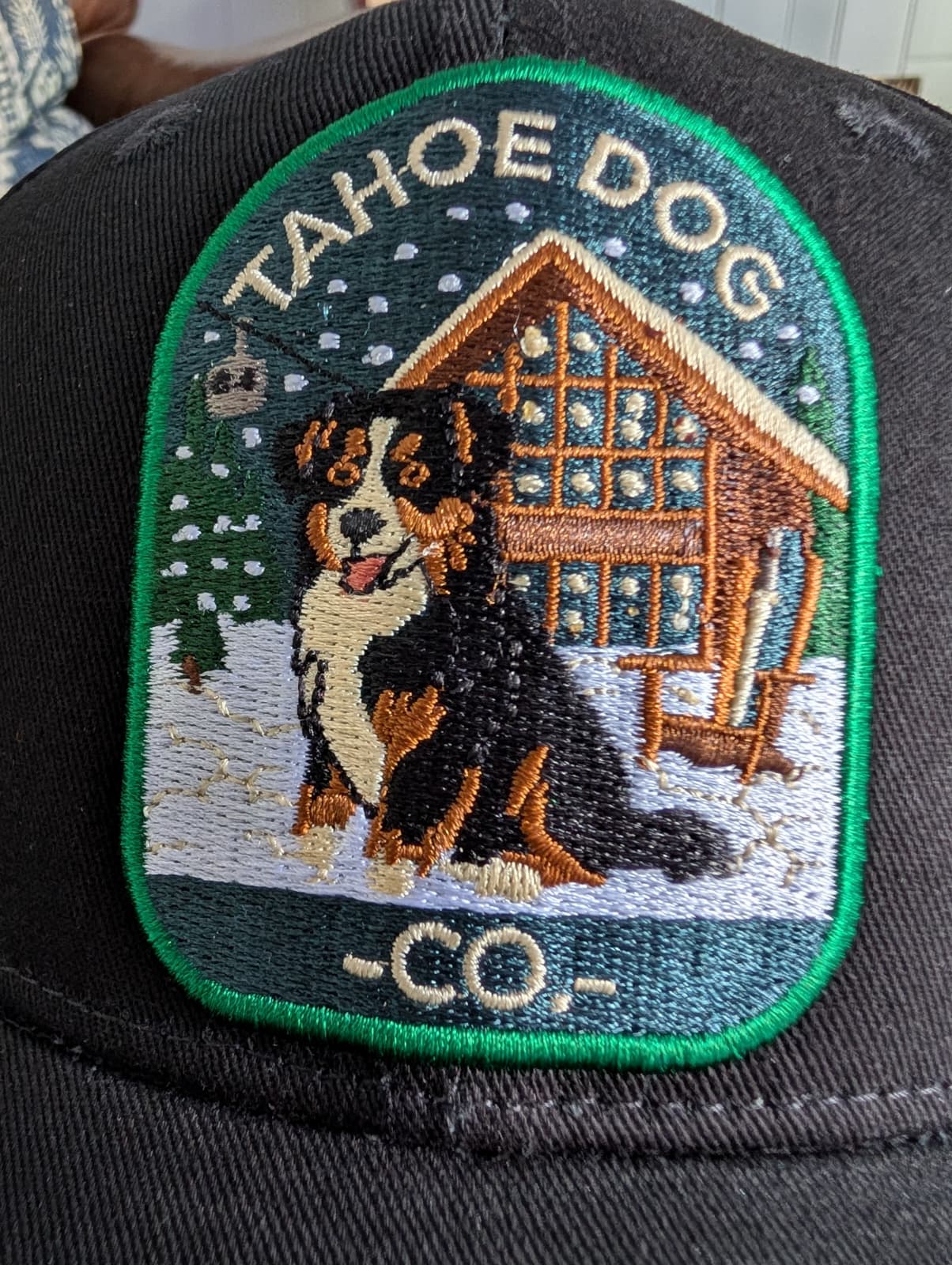 Tahoe Dog "Otto" - Australian Shepherd at Olympic Valley