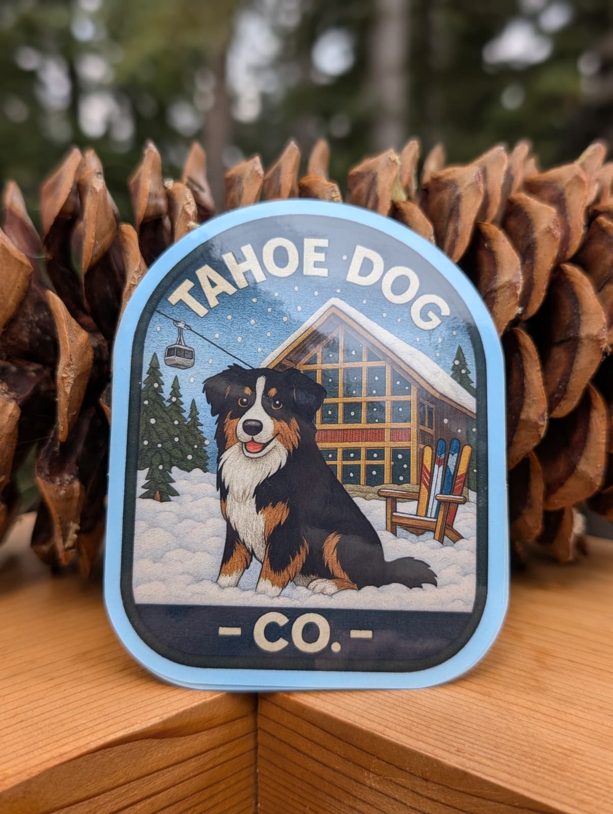 Tahoe Dog Co. + sticker + Otto the tri-color Australian Shepherd or English Shepherd or Bernese Mountain Dog + Chamois Bar at Palisades Tahoe in Olympic Valley, CA