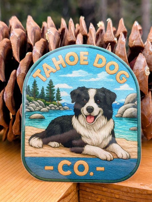 Tahoe Dog "Steven" - Border Collie at Sand Harbor, NV sticker (with sugar Pine cone) – Tahoe Dog Co.