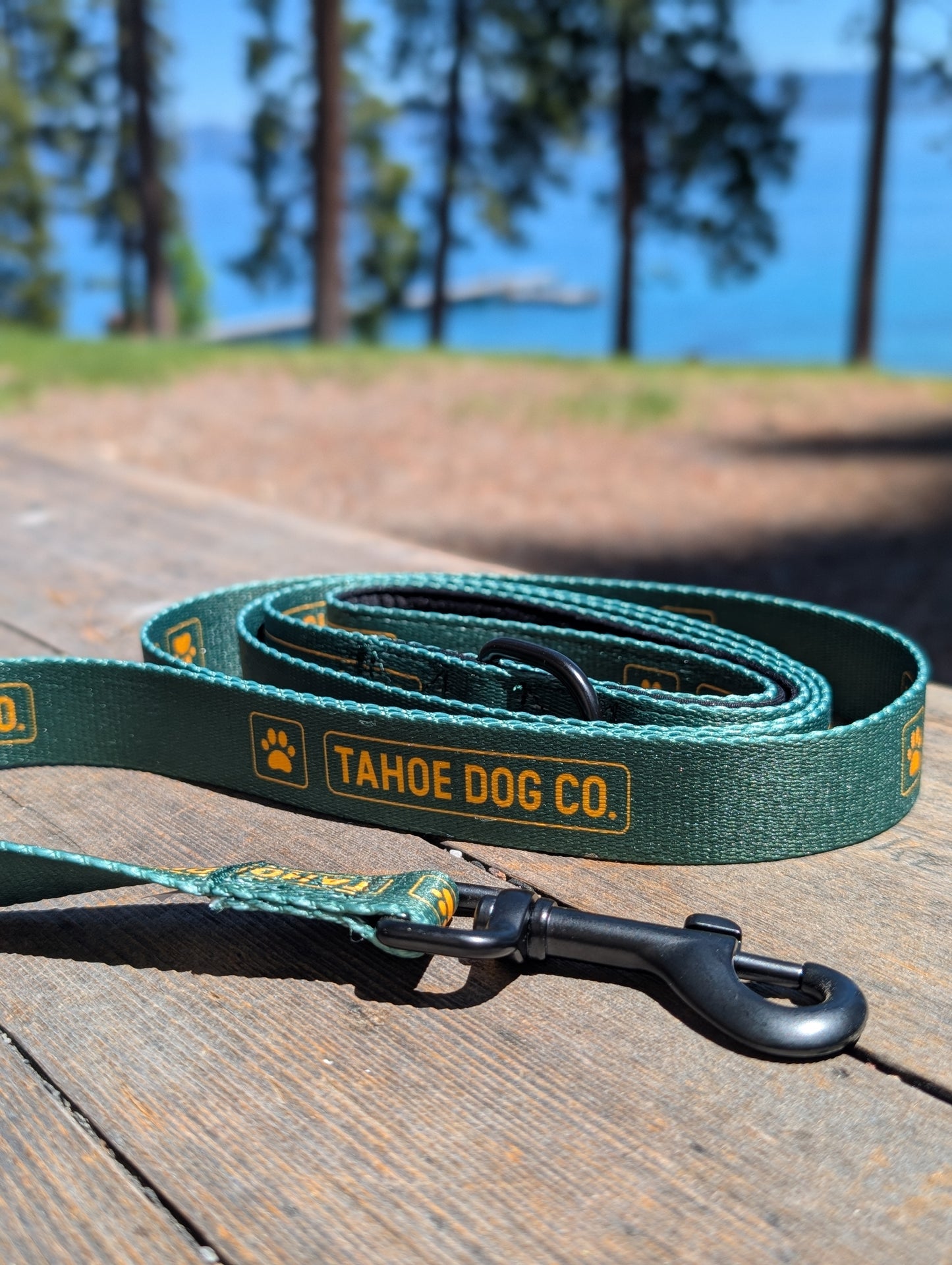 "The Classic" Dog Leash
