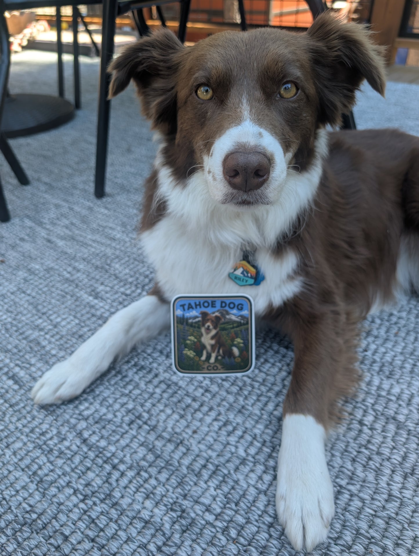 The Riley Sticker