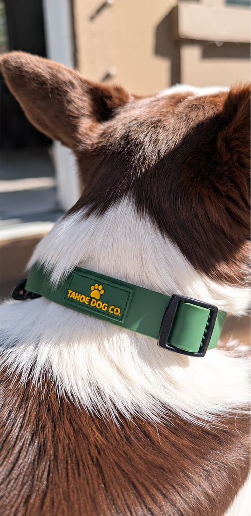 Pine Green Waterproof Dog Collar