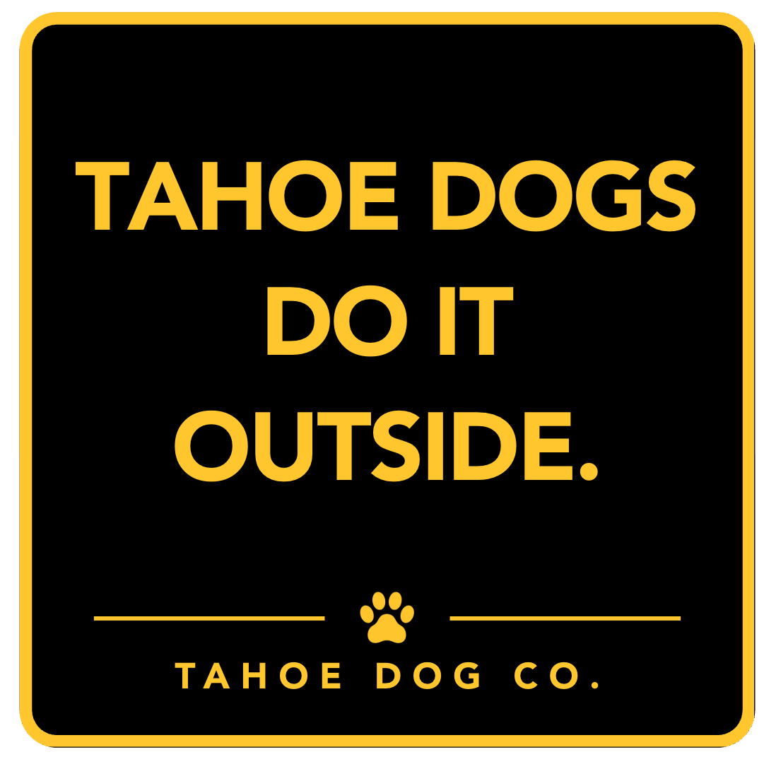 Tahoe Dogs Do It Outside black and yellow magnet by Tahoe Dog Co.