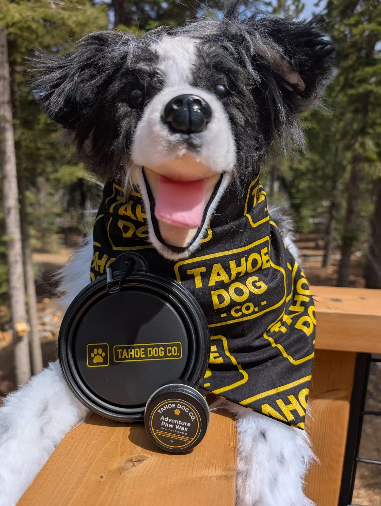 Trail Essentials