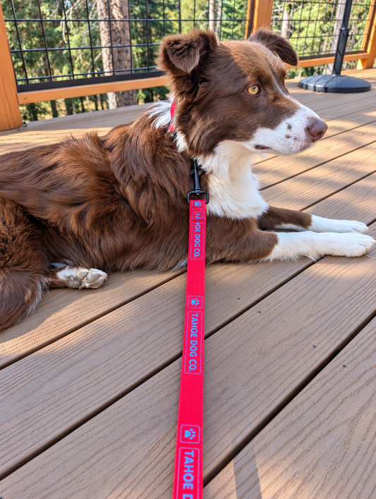 Everyday Walk Set – Dog Collar & Leash Bundle (Red)