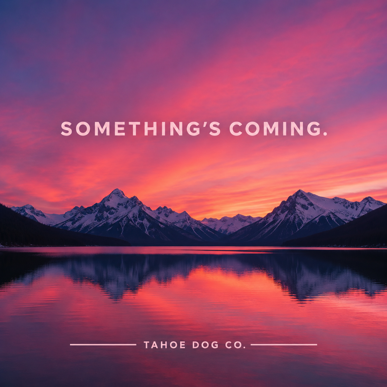 Everyday Dog Collar - in "Alpenglow Pink" (available 7/25/26)