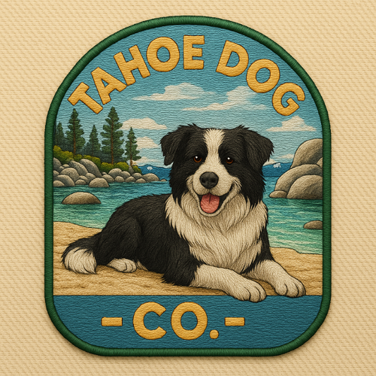Tahoe Dog "Steven" - Border Collie at Sand Harbor