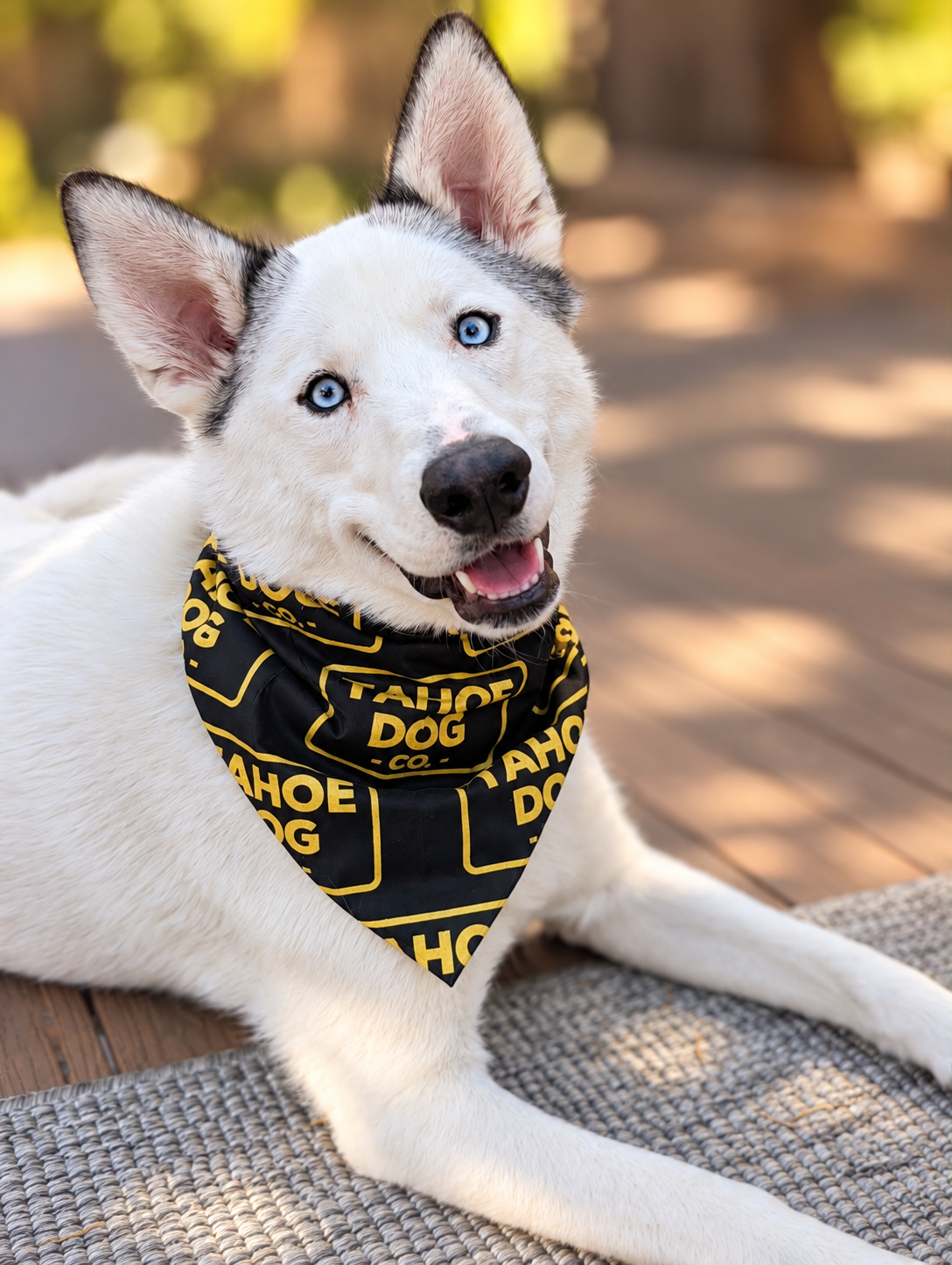 Good Dog Bandana – Lake Tahoe Dog Bandana