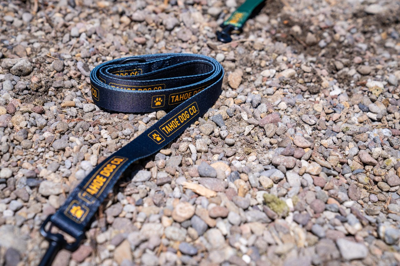 Everyday Dog Leash (Multiple Colors)