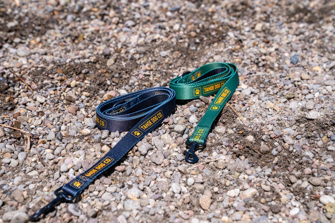 Everyday Dog Leash (Multiple Colors)