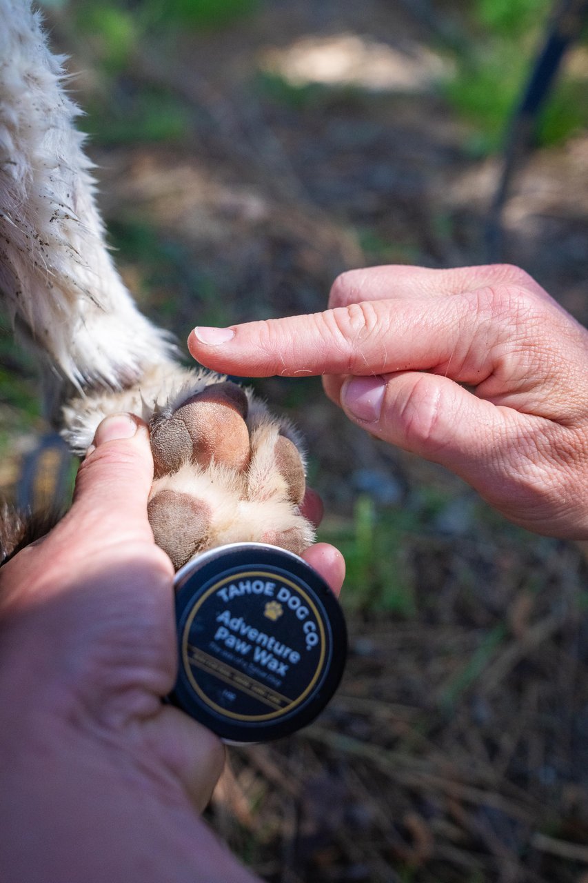 Trail Essentials Bundle – Bandana, Bowl & Paw Wax
