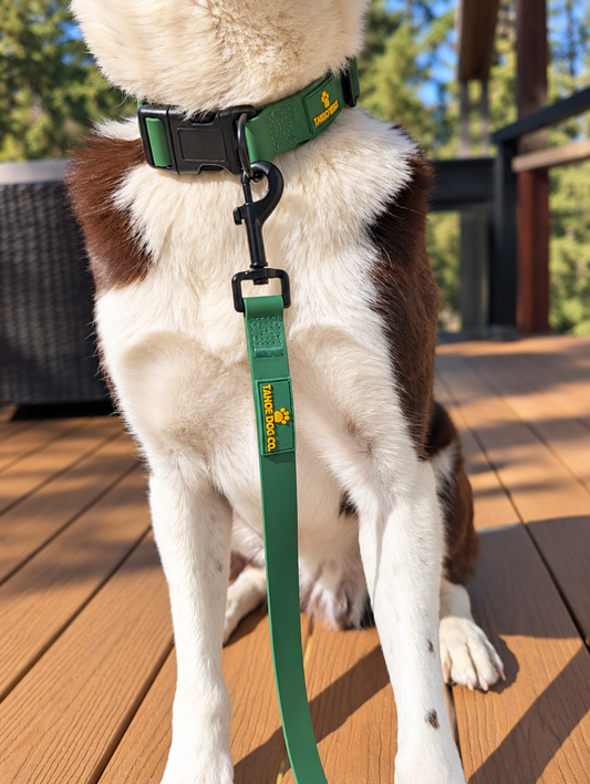 Pine Green Waterproof Leash & Collar Set