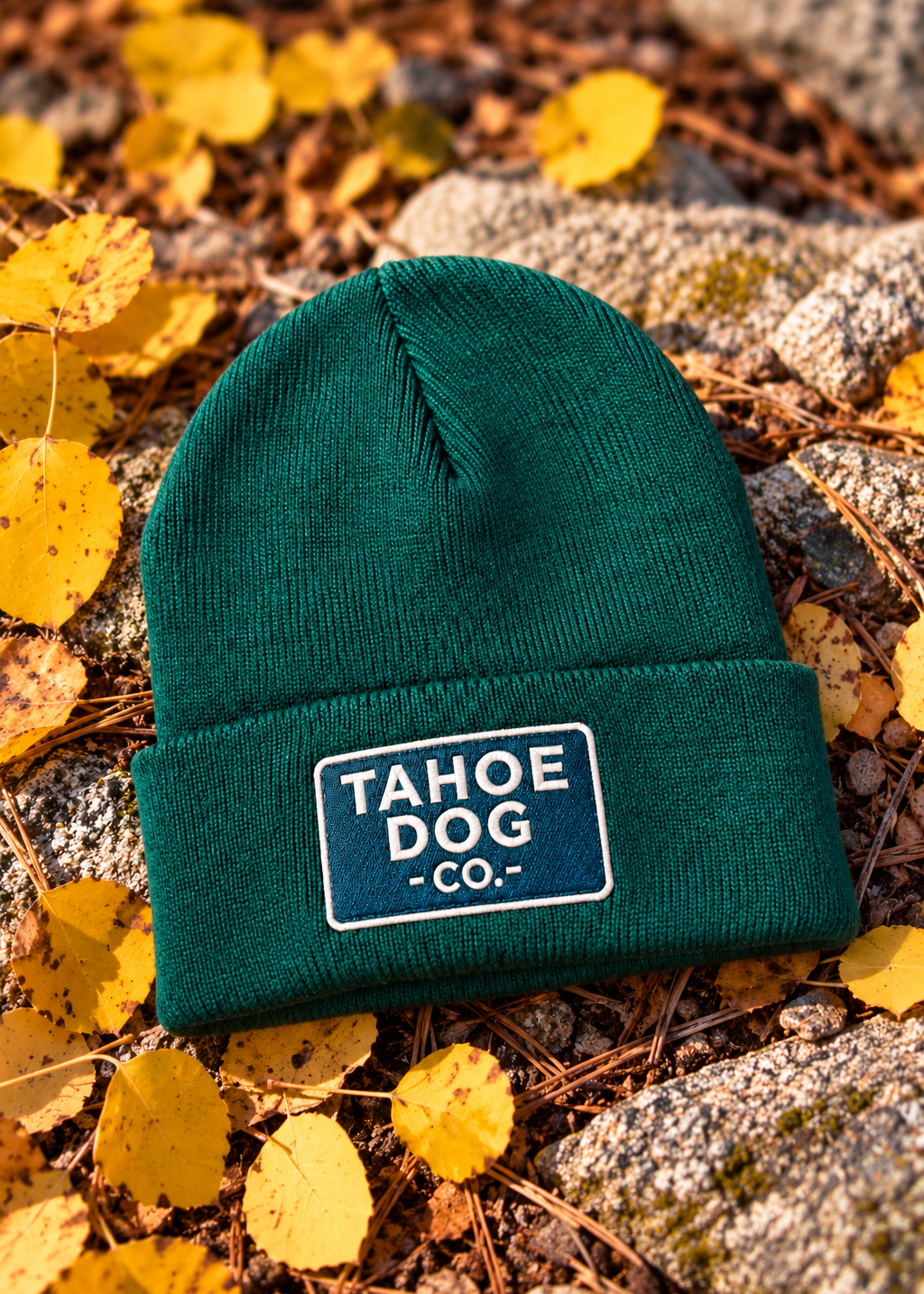Forest green Tahoe Dog Co. cuffed knit beanie with a logo patch resting among yellow autumn leaves and granite rocks.


