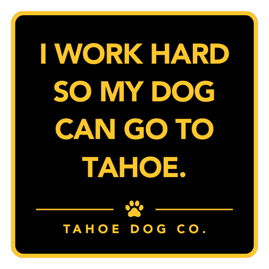 "I work hard so my dog can go to Tahoe" magnet