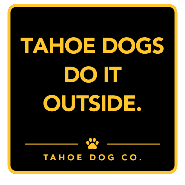 Tahoe Dog Magnet Bundle (Choose Your Sayings)