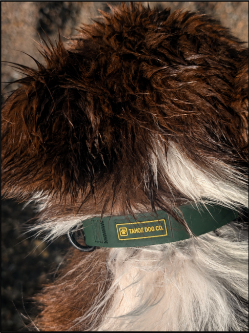 Pine Green Waterproof Leash & Collar Set