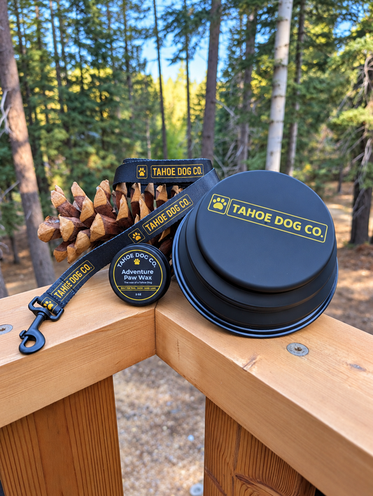 Trail Essentials Bundle – Leash, Paw Wax, & Collapsible Bowl