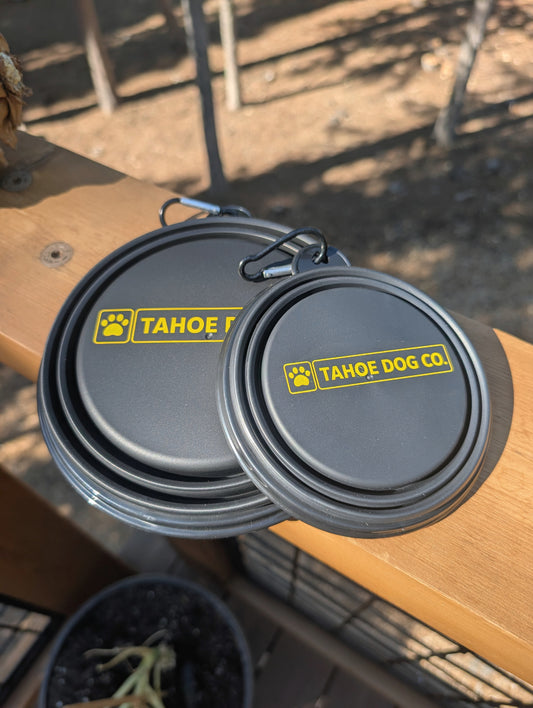 Summit Collapsible Dog Bowl