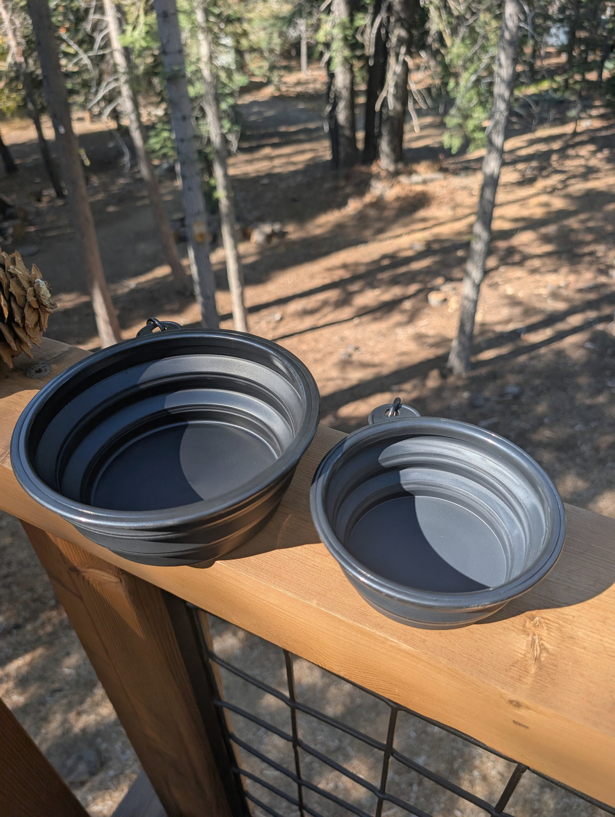 Summit Collapsible Dog Bowl