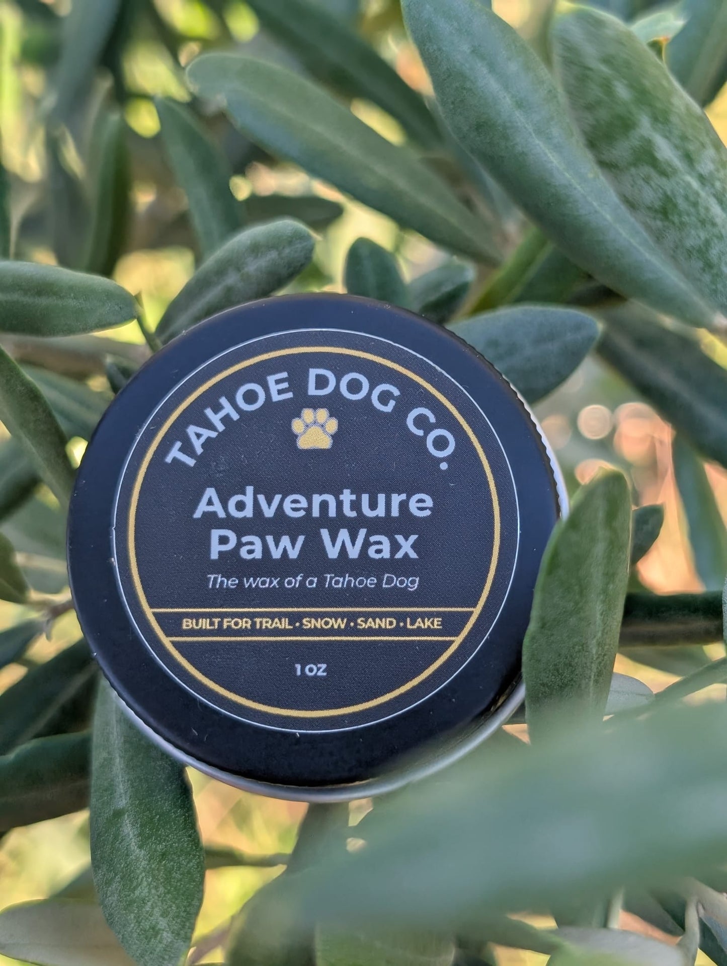Trail Essentials BUNDLE: bandanna, collapsible bowl, and paw wax