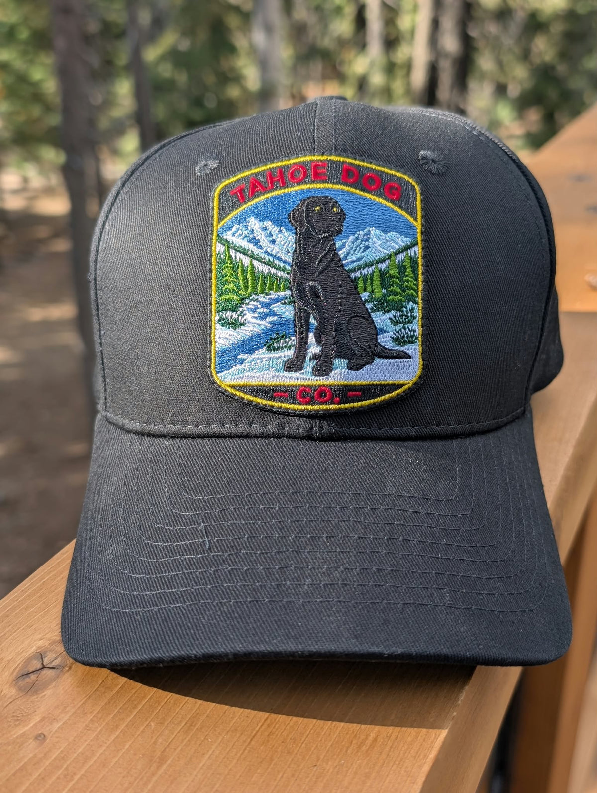 Moxie Black Lab Hat