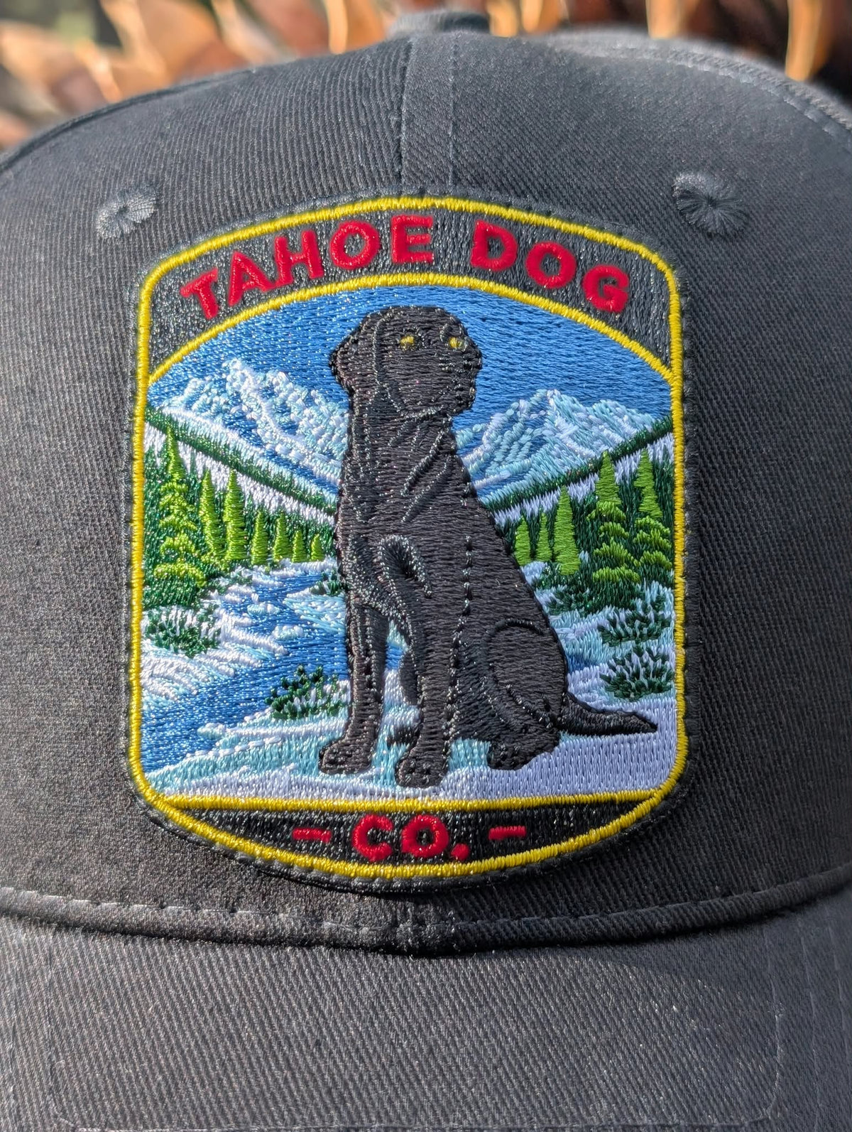 Moxie Black Lab Hat