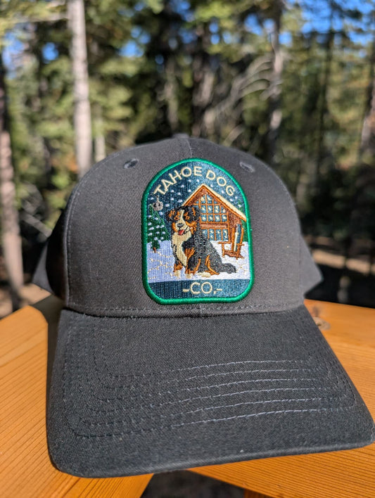 Tahoe Dog "Otto" - Australian Shepherd at Olympic Valley