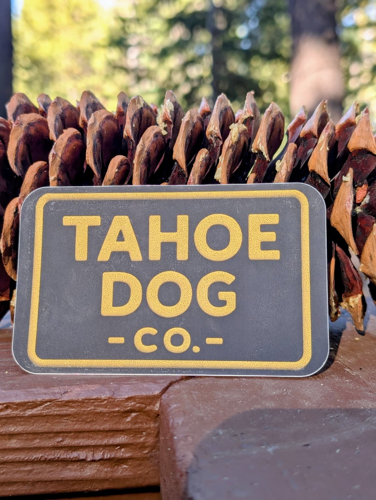 Tahoe Dog Co. + black & yellow logo + decal sticker + pinecone in Lake Tahoe