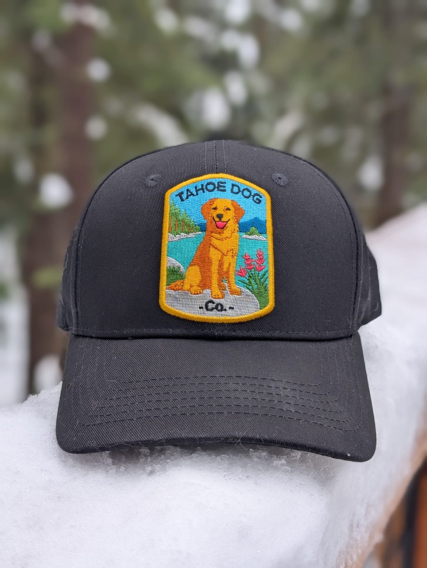 Baseball hat featuring "Dottie the Tahoe Dog" - Golden Retriever at Emerald Bay