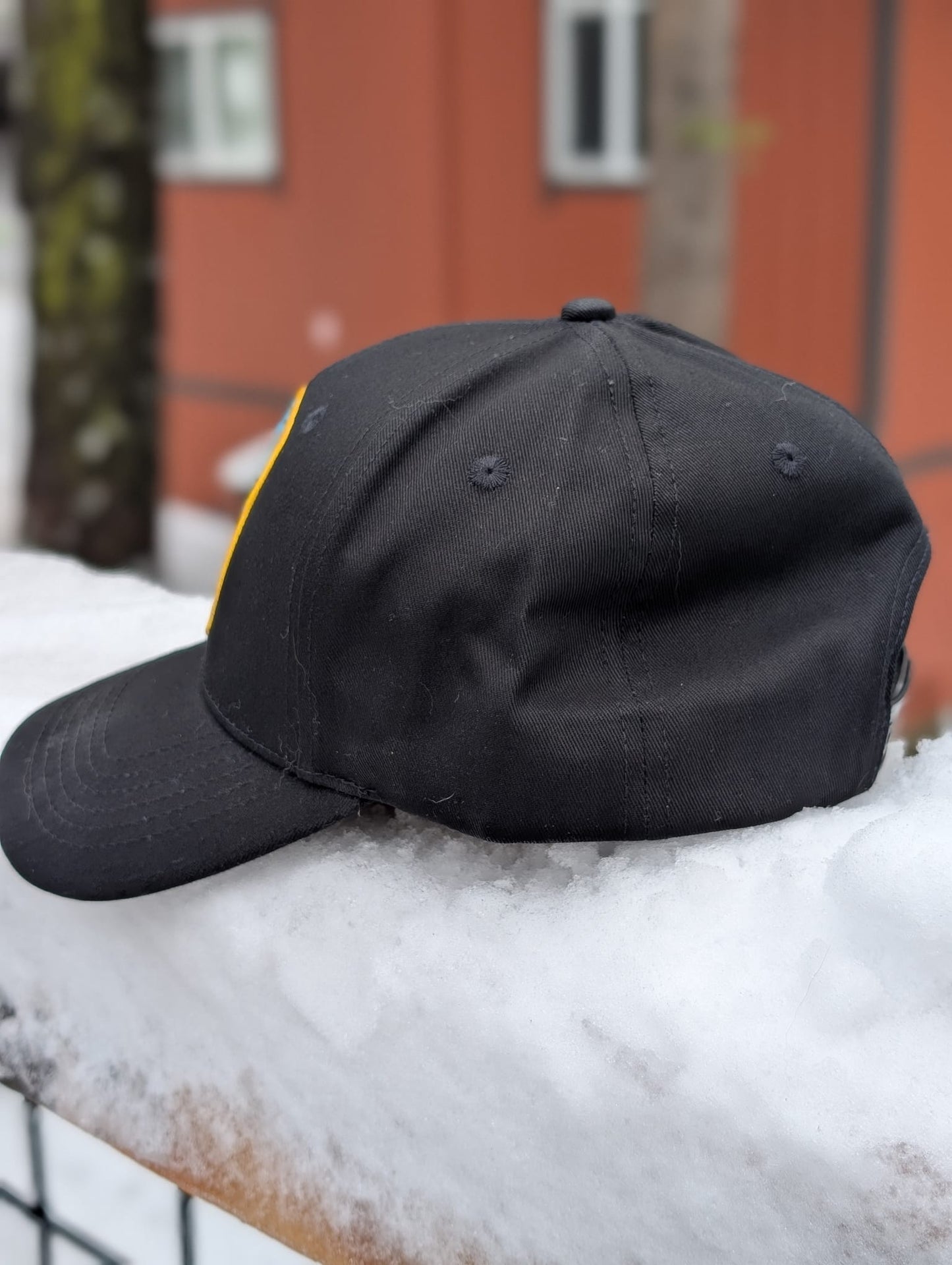 Baseball hat featuring "Dottie the Tahoe Dog" - Golden Retriever at Emerald Bay