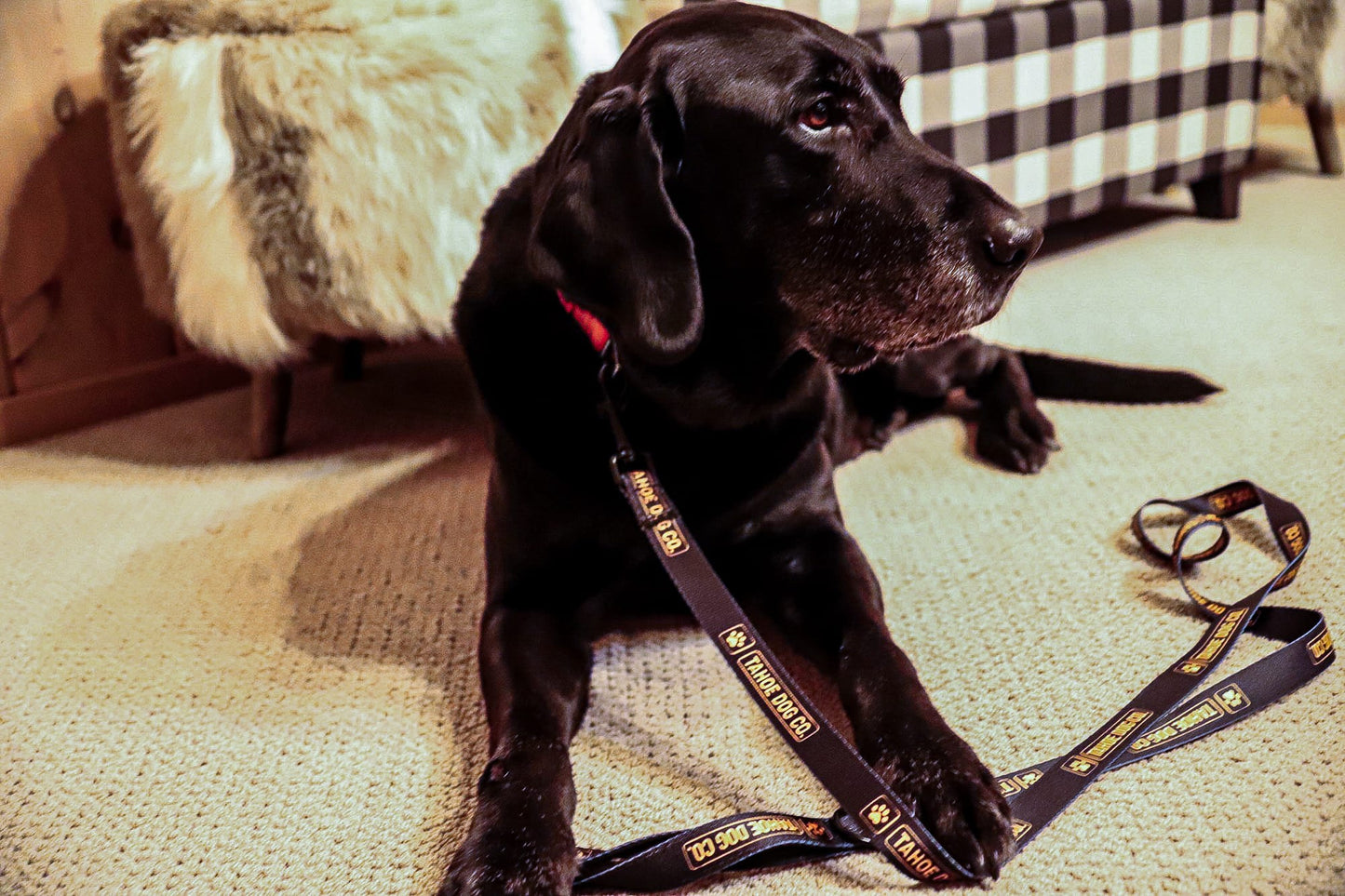 Tahoe Dog Co. Leash