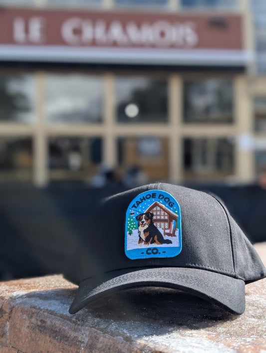 Baseball Hat featuring "Otto the Tahoe Dog" (2.0) - Bernese Mountain Dog in Olympic Valley