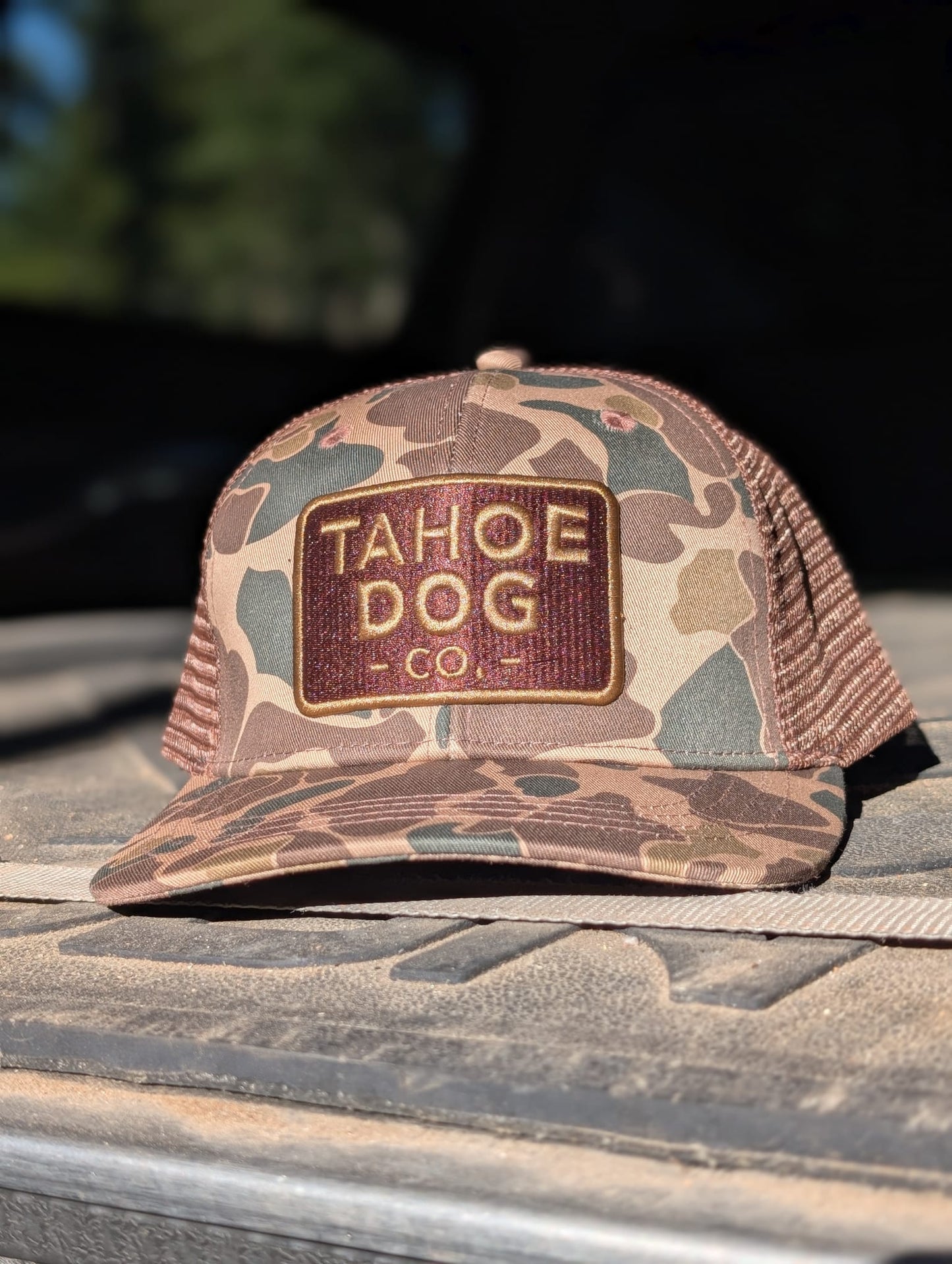 "The Rex" Hat