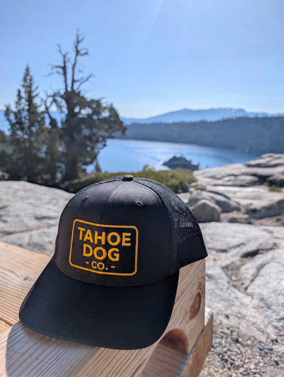 The Classic Trucker Hat