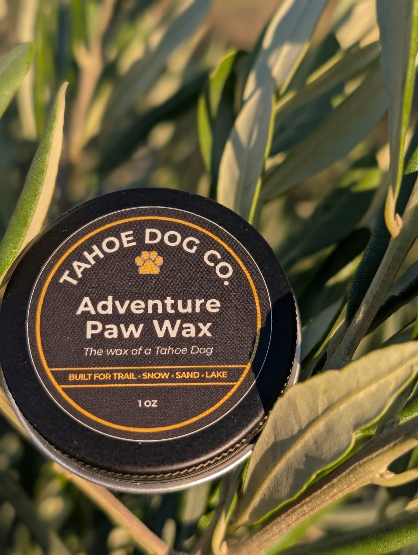 Adventure Paw Wax