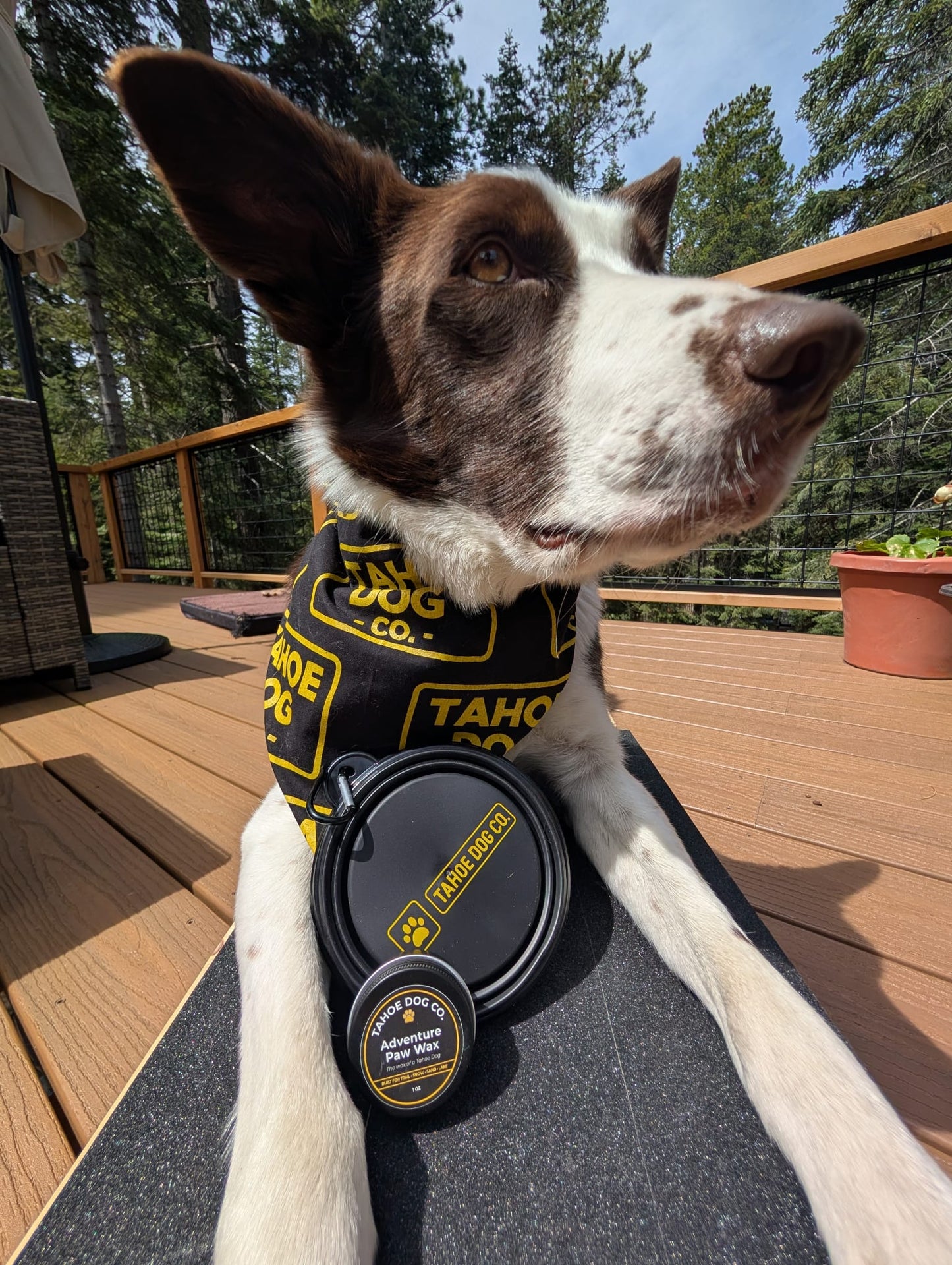 Trail Essentials Bundle – Bandana, Bowl & Paw Wax