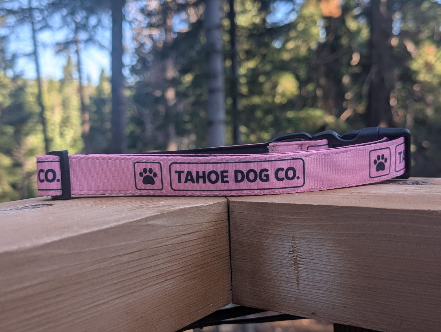 Everyday Dog Collar - "Alpenglow Pink"
