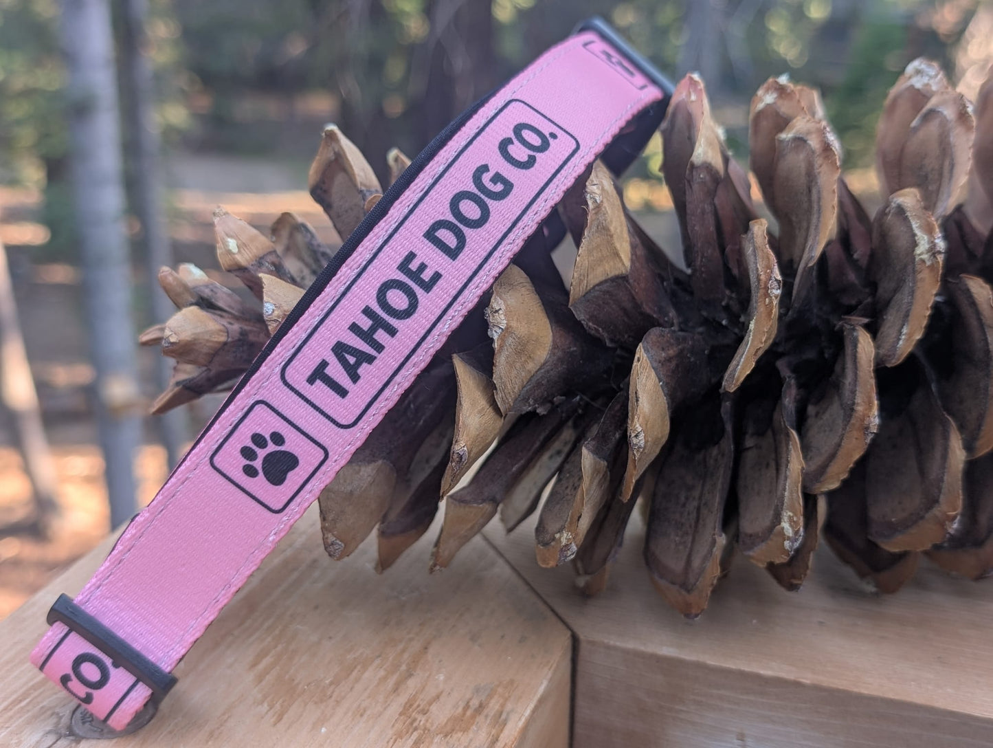 Everyday Dog Collar - "Alpenglow Pink"