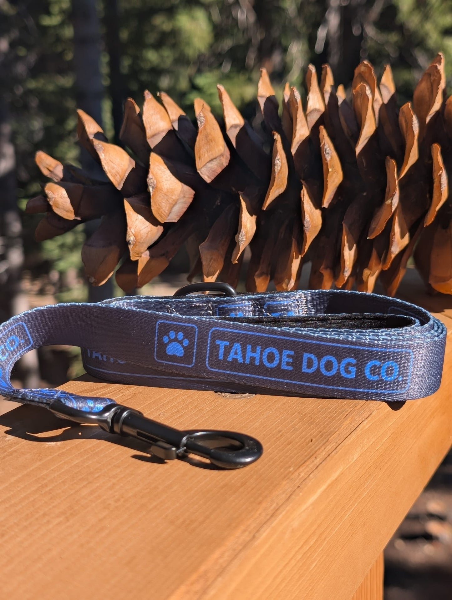 Everyday Dog Leash (Multiple Colors)