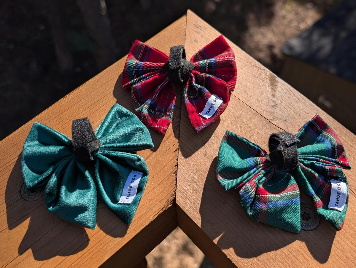 Holiday Dog Bow Tie