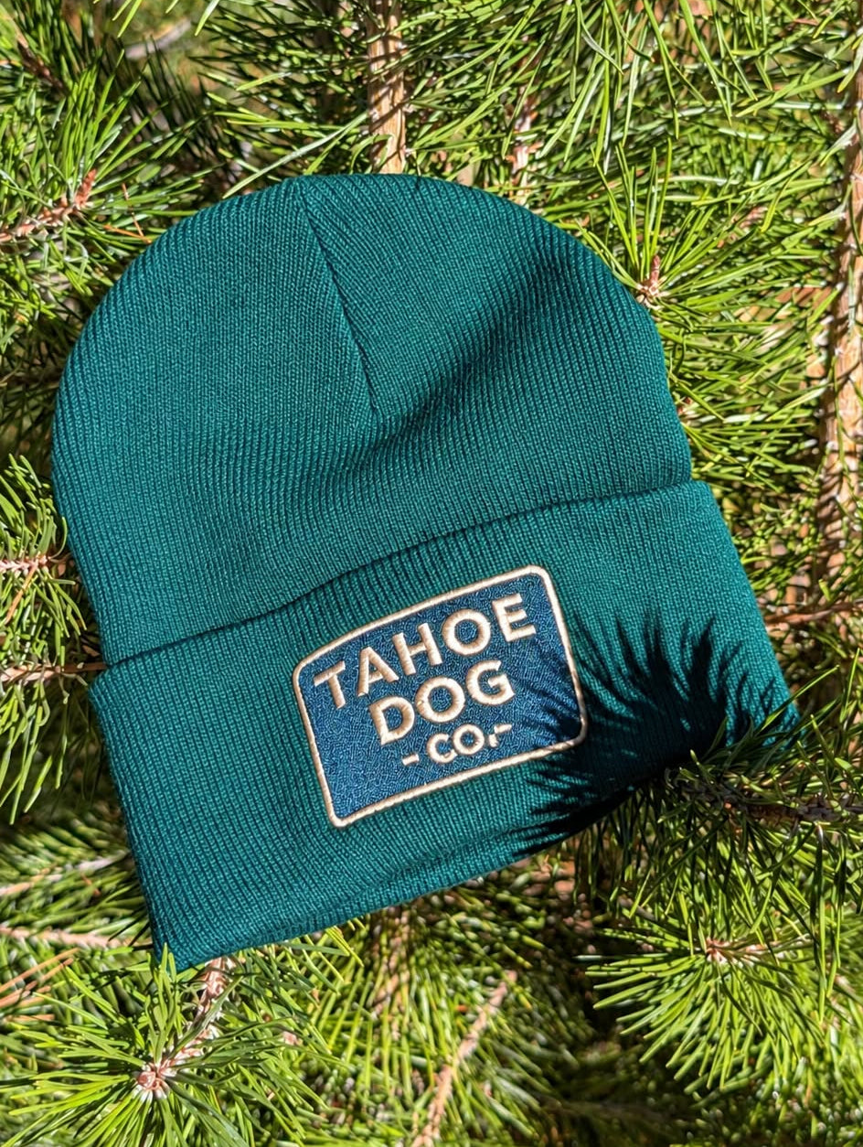Forest green knit beanie with an embroidered Tahoe Dog Co. logo patch resting among sunlit pine branches.