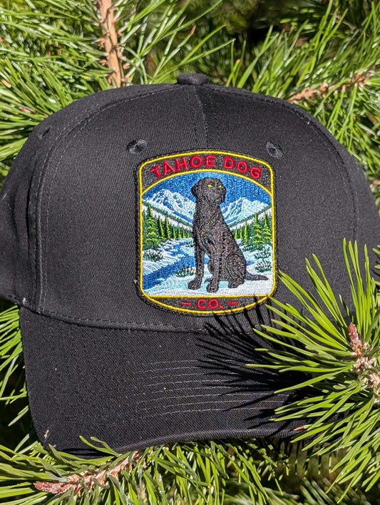 Black cap with an embroidered black Labrador and snowy mountain patch, resting among sunlit pine branches.