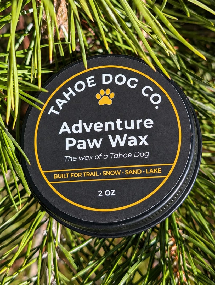Black 2 oz tin of Tahoe Dog Co. Adventure Paw Wax nestled among green pine needles.
