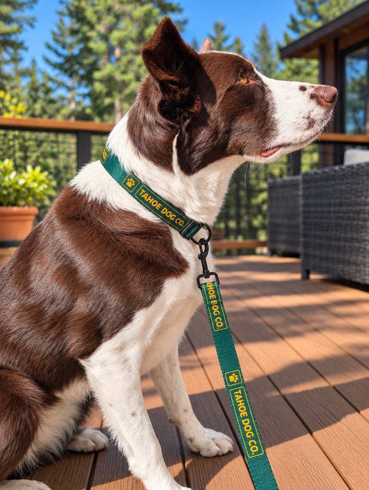 Everyday Walk Set – Dog Collar & Leash Bundle (Green)