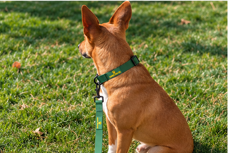 Pine Green Waterproof Dog Collar