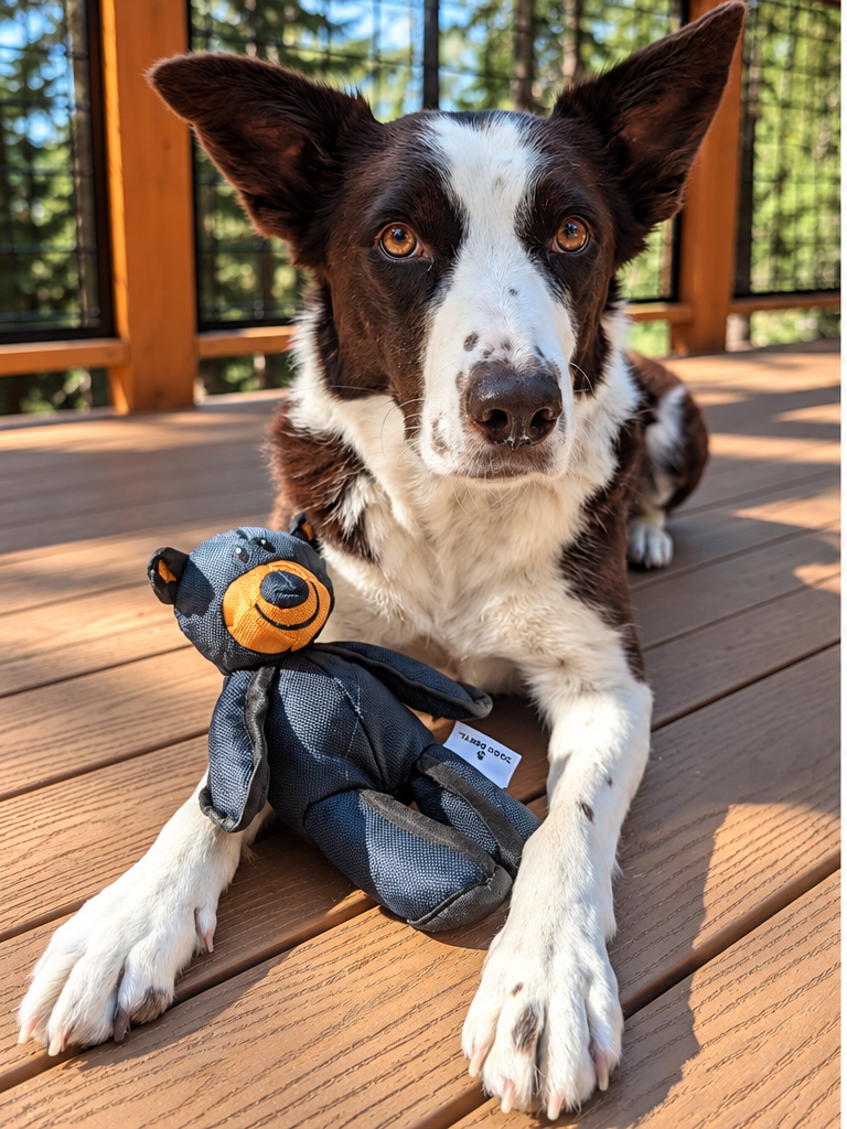 Tahoe Dog Durable Bear Toy
