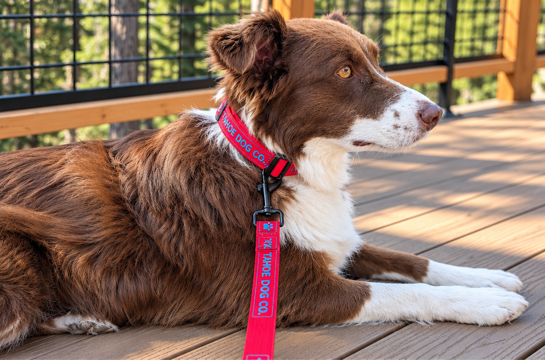 Everyday Walk Set – Dog Collar & Leash Bundle (Red)