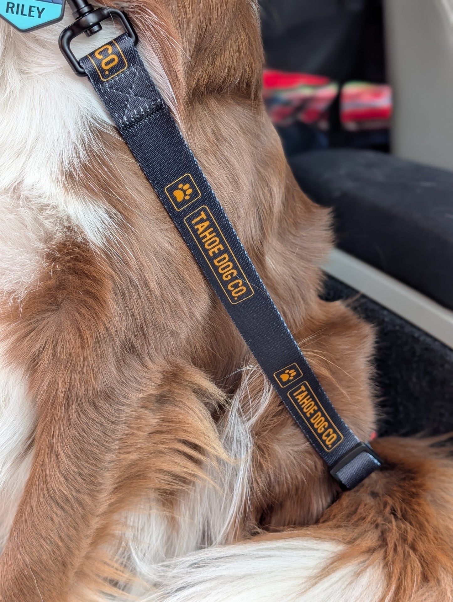 "The Seatbelt" Dog Car Leash